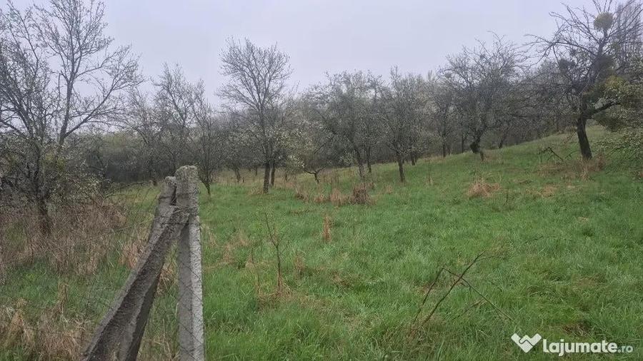 Grosi, zona Primariei, 40 ari teren - 2