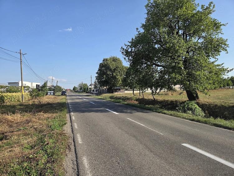 Casă cu 3 camere cu Teren 1200 Mp în Grumăzești