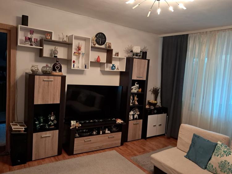 Apartament cu 2 camere semidecomandat, mobilat în Șagului