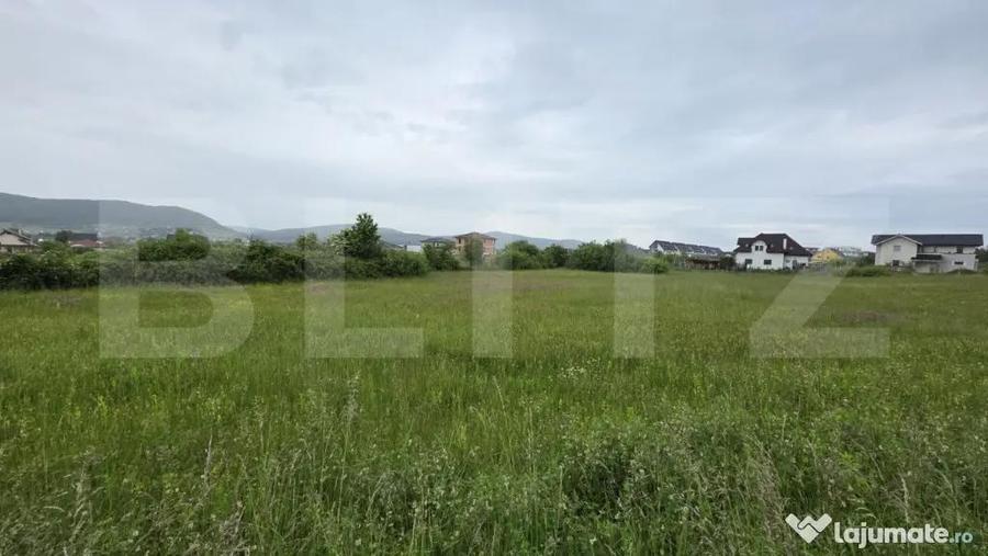 Teren intravilan, 48,3 ari zona Valea Rusului, - 1