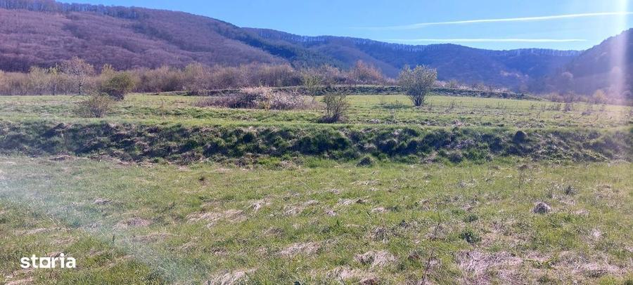 Teren de 1500 mp, în Poplaca