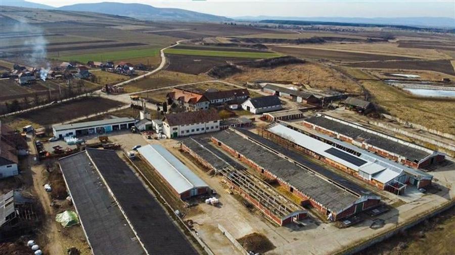 Spațiu comercial, de 9,000 mp, în Boroșneu Mare