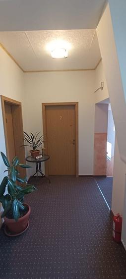 Apartament în Dosu Bricii