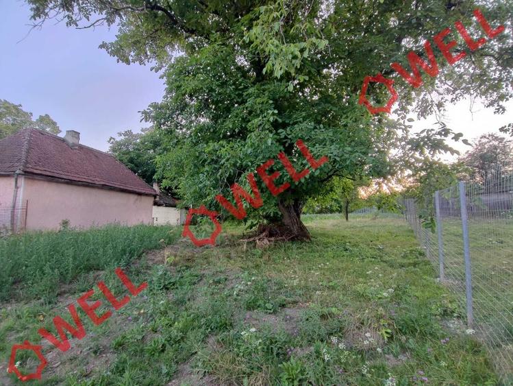 Teren Construcții intravilan de 1800 mp, în Calnic