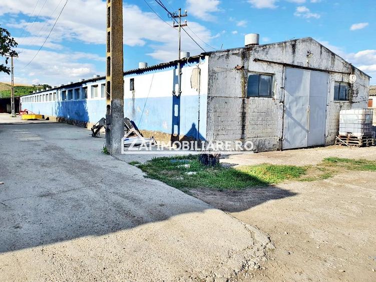 Spațiu industrial, de 1,000 mp, în Nazna