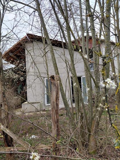 Teren Construcții intravilan de 4272 mp, în Bârsa