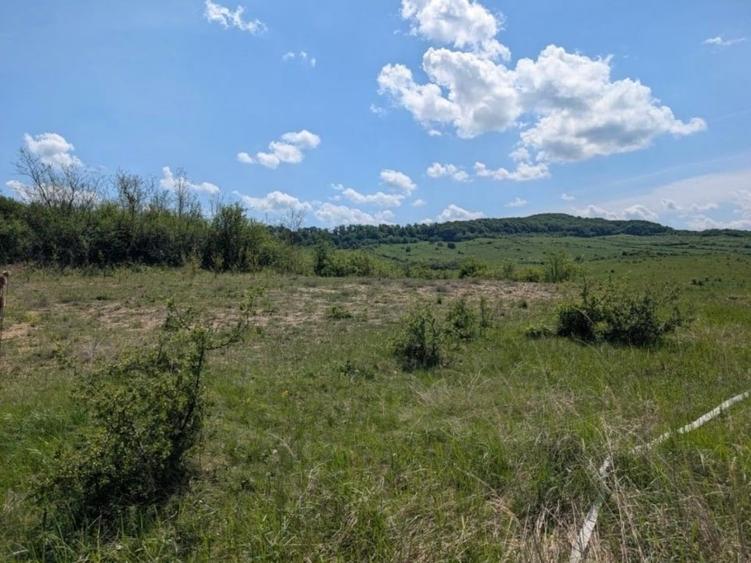 Teren Construcții extravilan de 1005 mp, în Sud-Vest