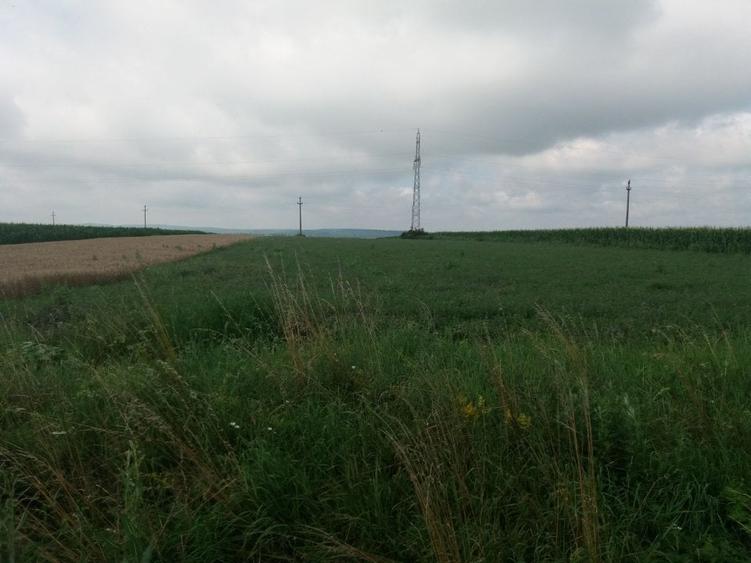 Teren agricol extravilan de 17300 mp, în Periferie