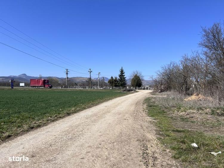 Teren de 2900 mp, în Galda de Jos