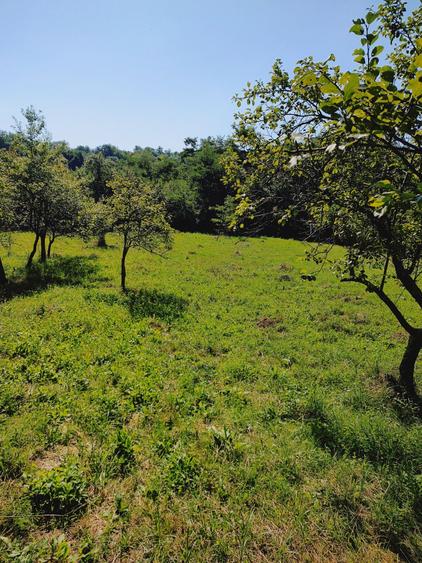 Teren de 2500 mp, în Zmeurătu