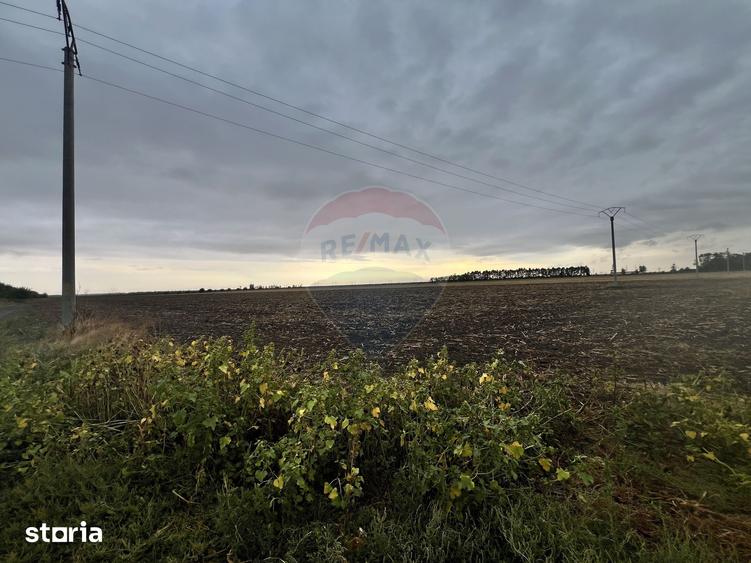 Teren de 27882 mp, în Dor Mărunt