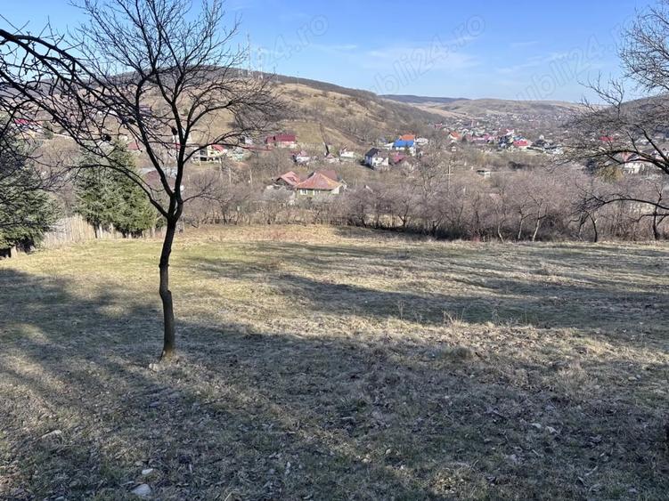 Teren de 5000 mp, în Gârcina