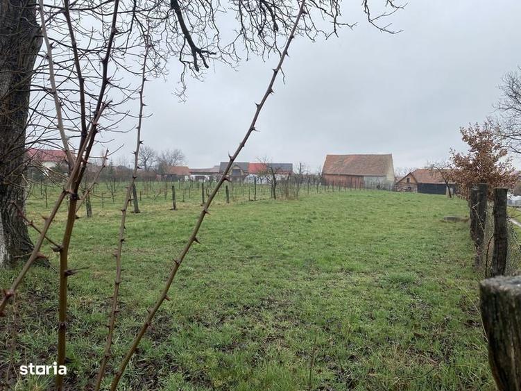 Teren de 1203 mp, în Comana