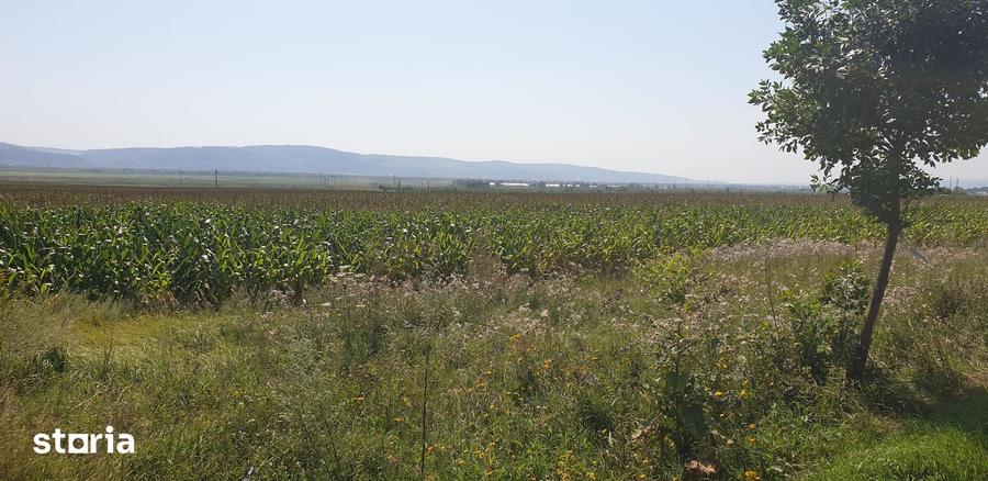 Teren de 9500 mp, în Nicolae Bălcescu
