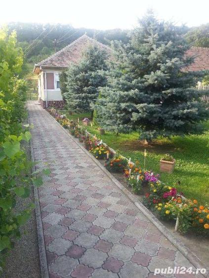 Casă cu 3 camere în Dumbrăveni