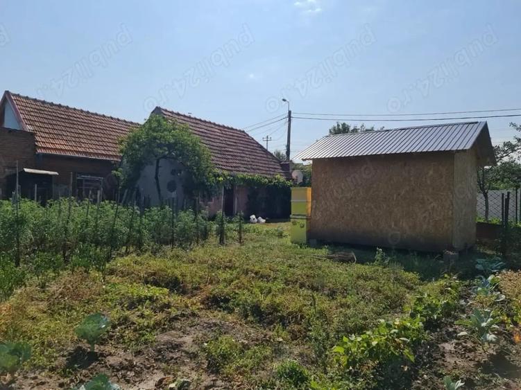 Casă individuală cu 2 camere cu Canalizare în Vinerea
