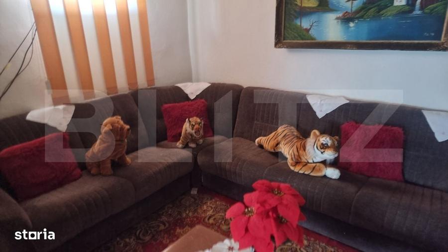 Casă cu 4 camere cu Teren 736 Mp în Măgureni