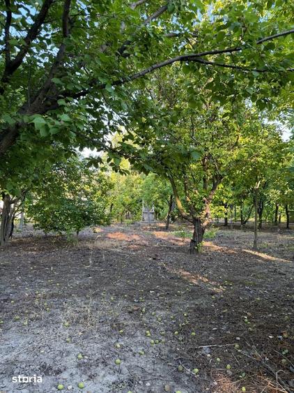 Casă cu 6 camere nedecomandat cu Teren 1600 Mp în Greci