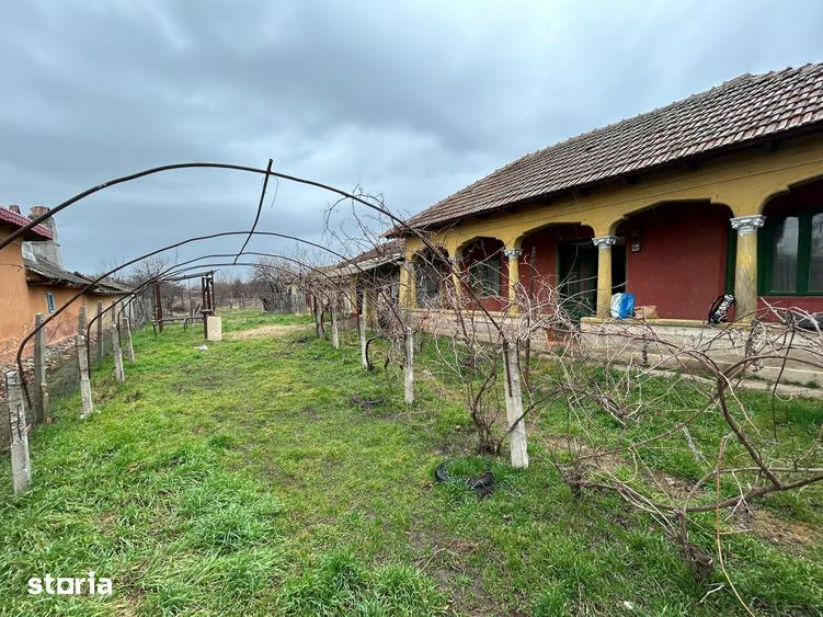 Casă cu 3 camere cu Teren 810 Mp în Năsturelu