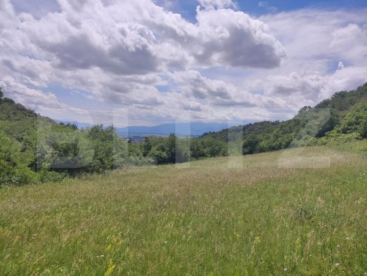 Teren agricol extravilan de 28500 mp, în Gușterița