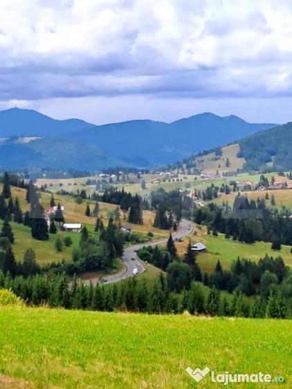 Teren în Piatra