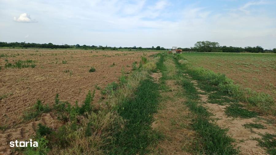 Teren de 10000 mp, în Periș