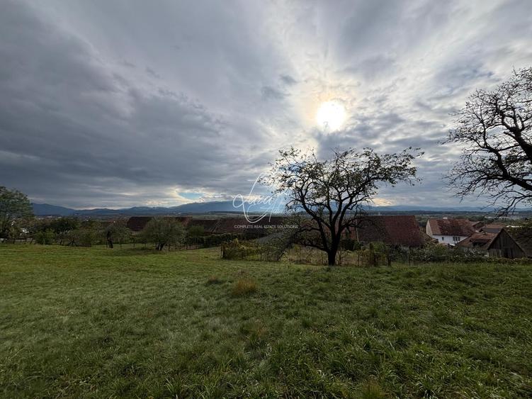 Teren Construcții intravilan de 600 mp, în Mohu