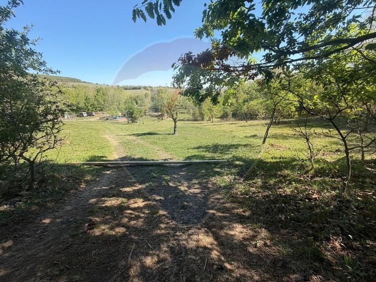 Teren agricol extravilan de 6322 mp, în Central