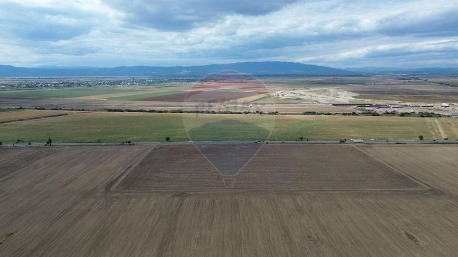 Teren agricol extravilan de 27500 mp, în Tișița