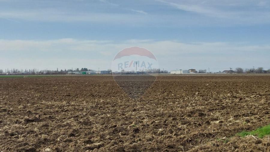 Teren agricol extravilan de 5000 mp, în Moara Vlăsiei