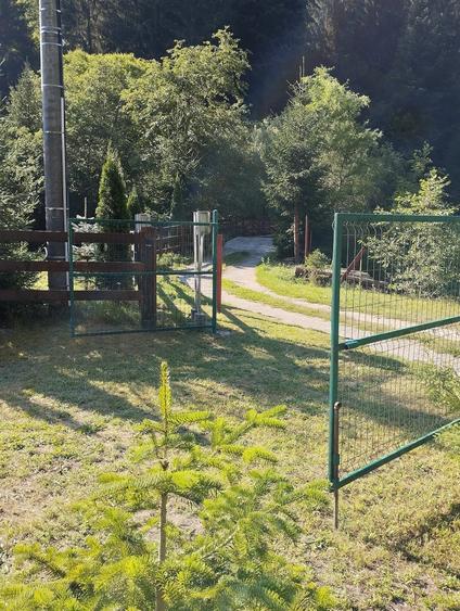 Teren de 2200 mp, în Voineasa