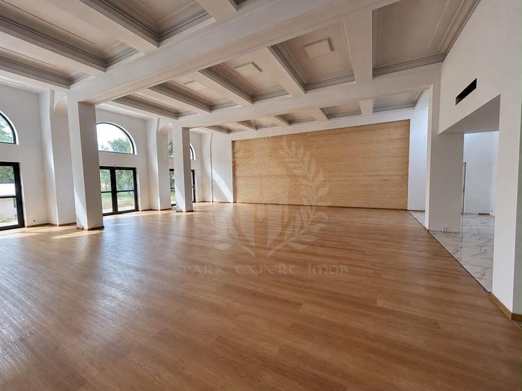 Spațiu comercial, de 250 mp, în Dorobanțul