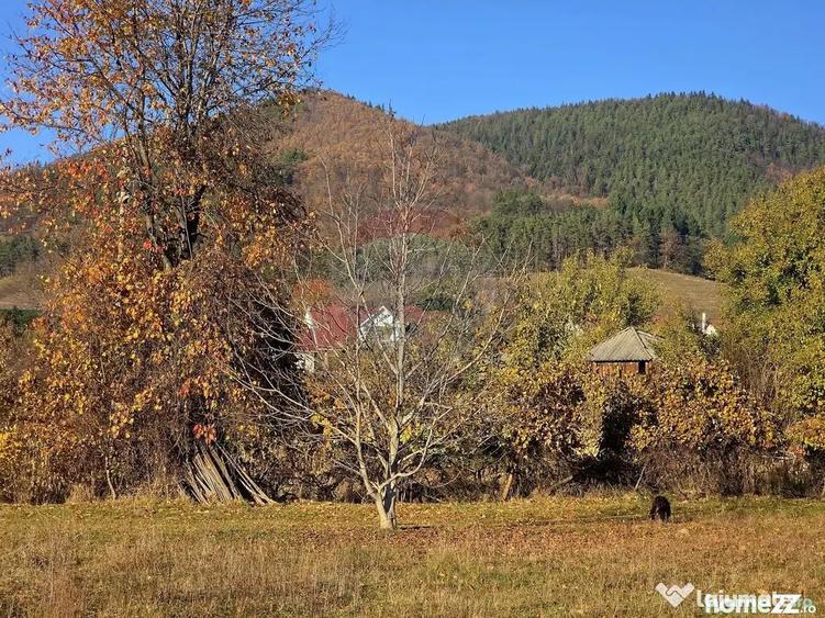 Teren 6,874mp Alexandru cel Bun / Strada plopusor - 14