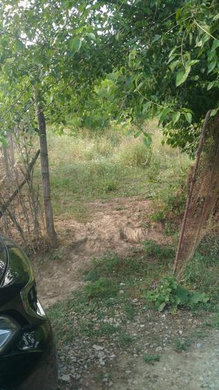 Teren agricol intravilan de 780 mp, în Mocești
