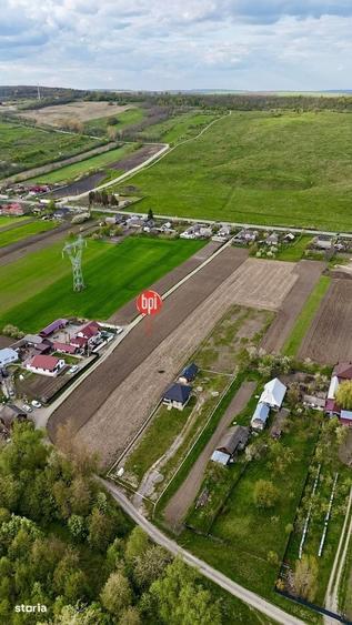 SE VINDE Teren Intravilan de 6.200mp in Loc.Rosiori, Com.Forasti, SV - 10