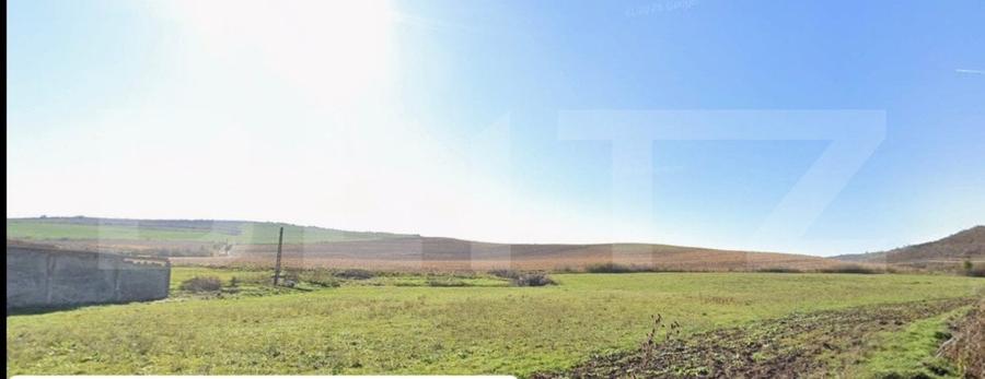 Teren agricol extravilan de 278157 mp, în Sud