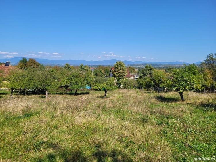 Teren de 4100 mp, în Remetea Chioarului