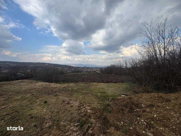 Teren de 1334 mp, în Moldovenești