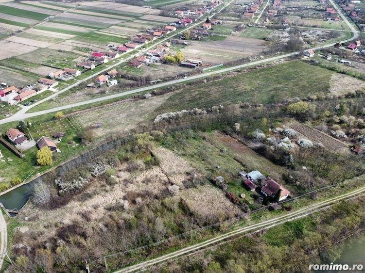 Teren de 22500 mp, în Balinț