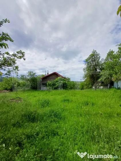 Casă cu 4 camere cu Teren 4873 Mp în Moldovenești