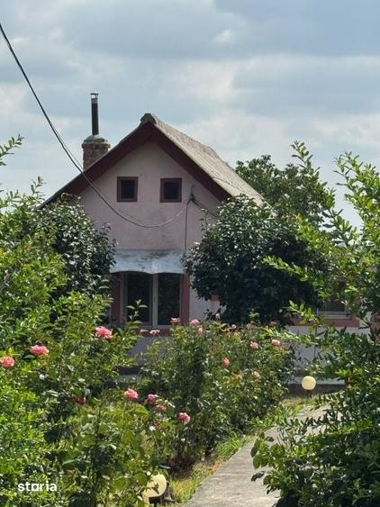 Casă cu 3 camere cu Teren 821 Mp în Obedin