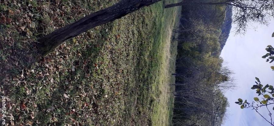 Teren de 5900 mp, în Vălișoara