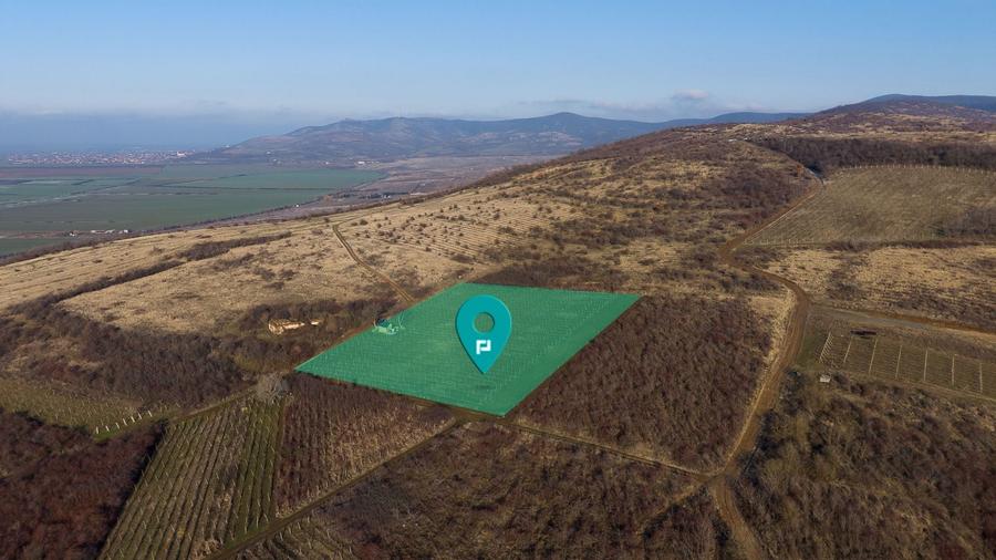 Teren agricol extravilan de 6800 mp, în Covăsinț