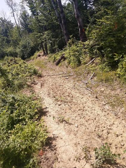 Teren de 20000 mp, în Posești