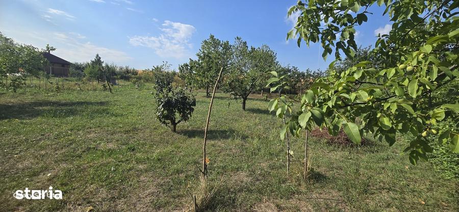 Teren de 2400 mp, în Central