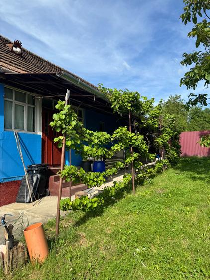 Casă cu 3 camere semidecomandat în Exterior Vest