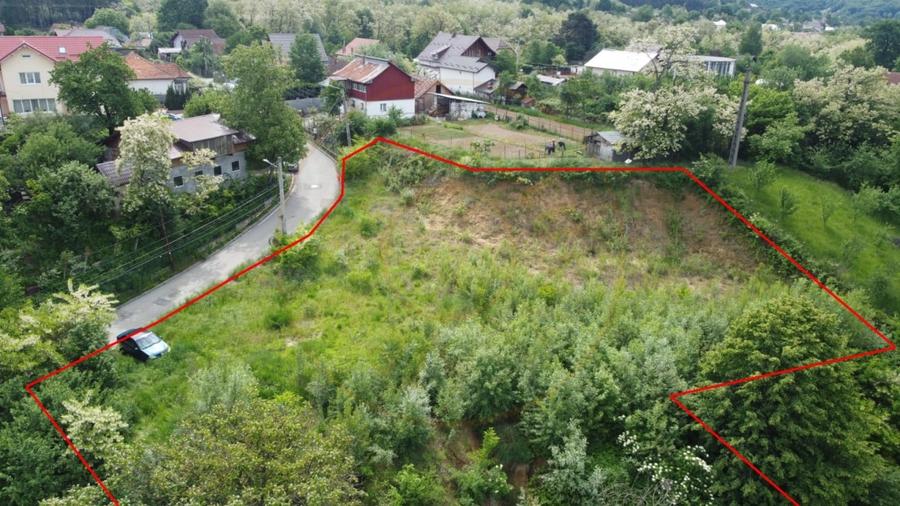 Teren Construcții intravilan de 3049 mp, în Curtea de Argeș