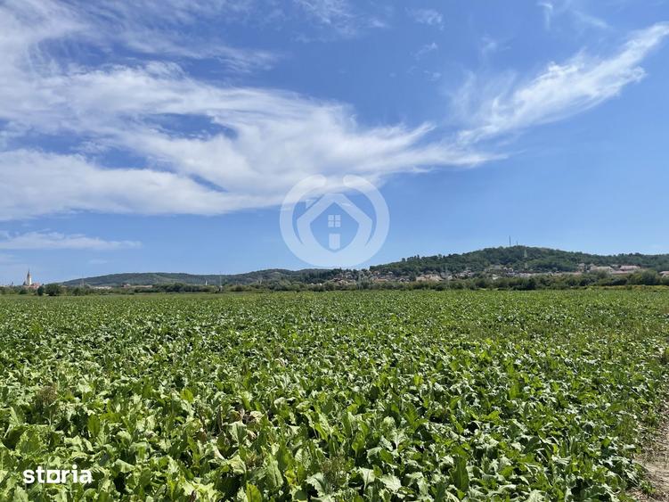 Teren de 13700 mp, în Central
