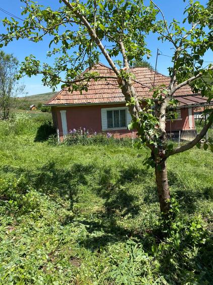 Casă cu 2 camere în Buza