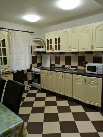 Apartament cu 2 camere semidecomandat în Băceni